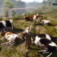 Illustration for article titled Grim iWitcher 3/i Money Exploit Leaves Dead Cows Everywhere